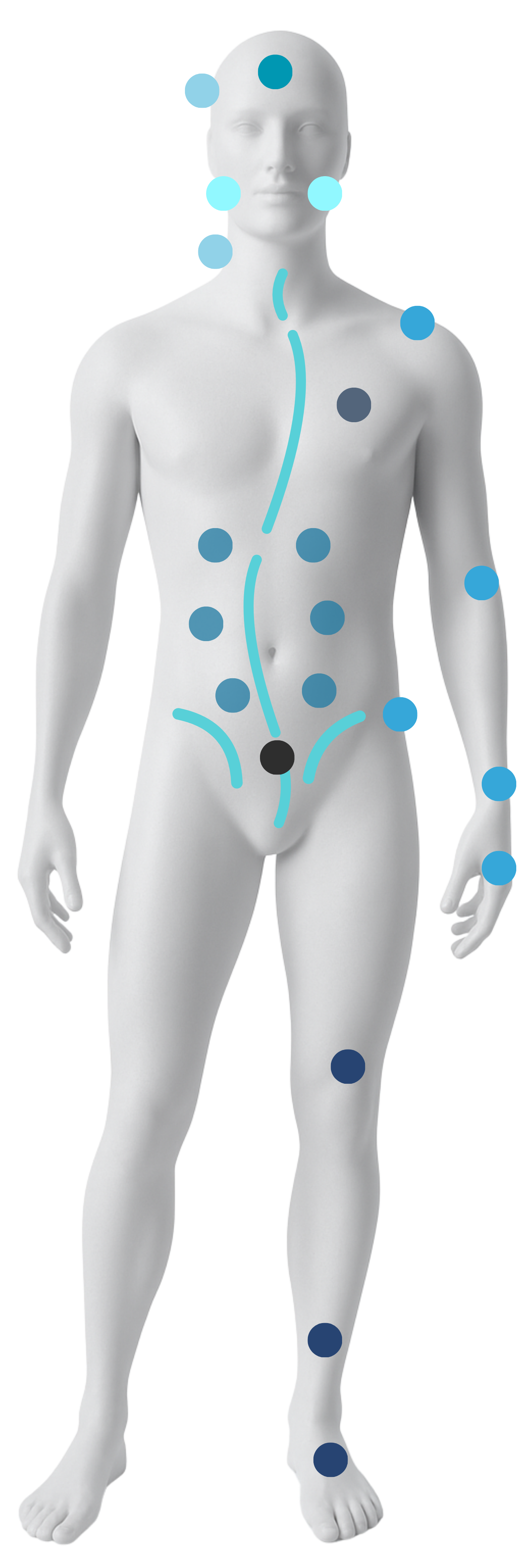 Mensch Anatomie mit Punkten zu den Untersuchungsregionen